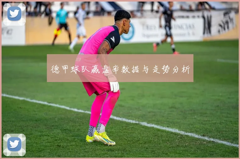 德甲球队赢盘率数据与走势分析