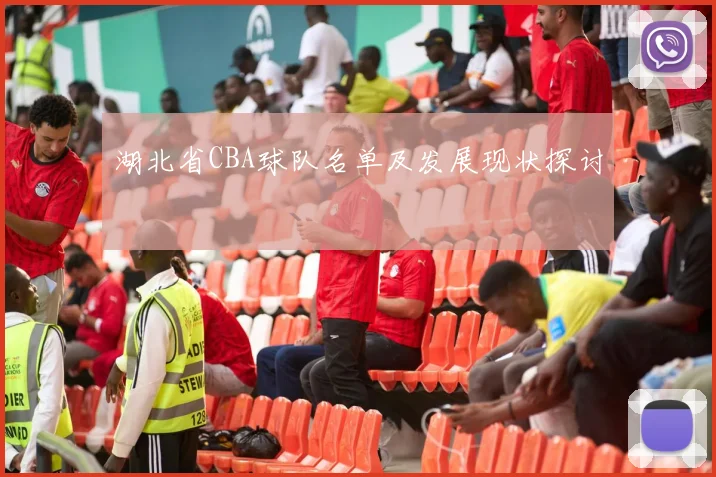 湖北省CBA球队名单及发展现状探讨