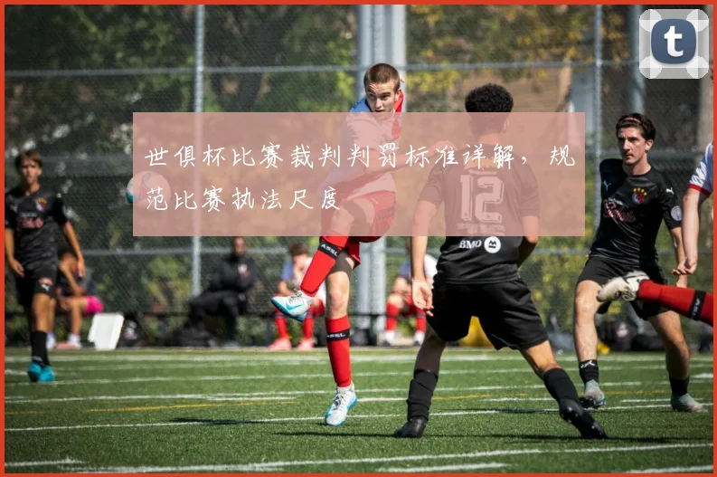 世俱杯比赛裁判判罚标准详解，规范比赛执法尺度
