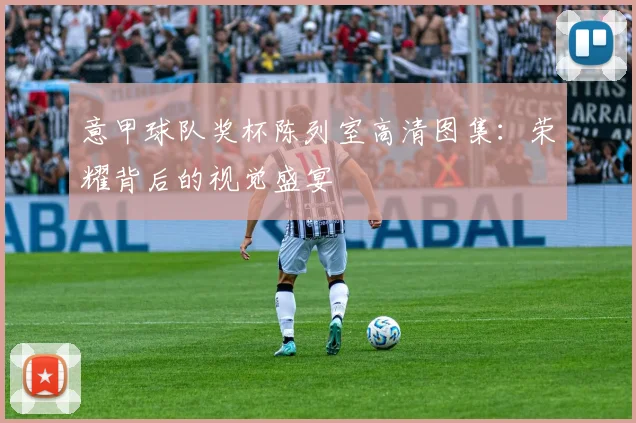 意甲球队奖杯陈列室高清图集：荣耀背后的视觉盛宴